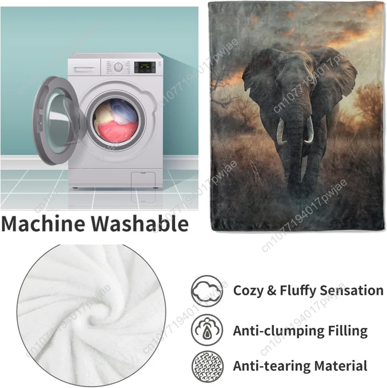 Fil Polar Battaniyesi, Gerçekç - Home Textiles Blanket incelemesi ve fiyatı